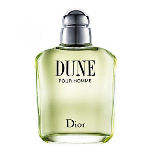 Christian Dior Dune Pour Homme Eau de toilette spray 100 ml