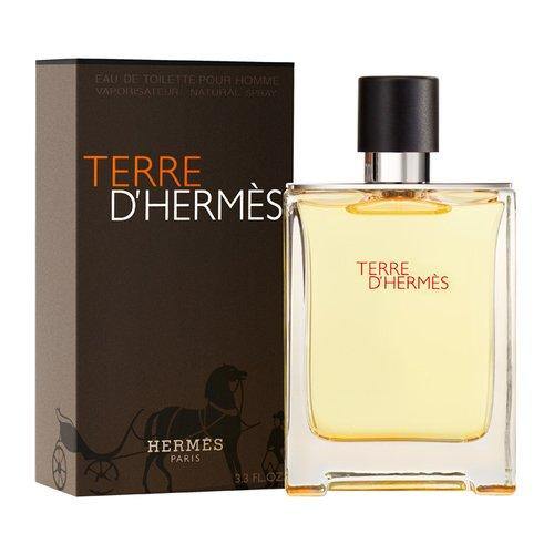 Hermes Terre D'Hermes Eau de toilette spray 100 ml